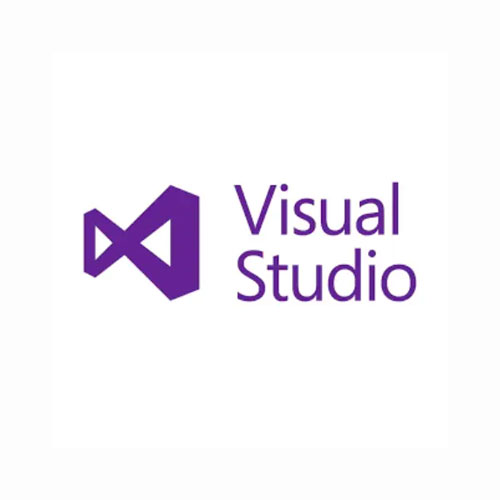 visual studio package licence